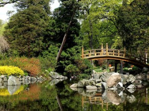 japanese garden wr